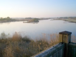 Vogelinsel
