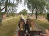 Kutschfahrt