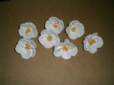 Blumen